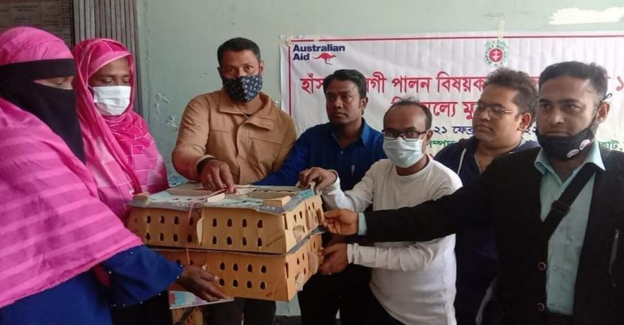মোল্লাহাটে প্রশিক্ষণ প্রদান ও মুরগীর বাচ্চা বিতরণ
