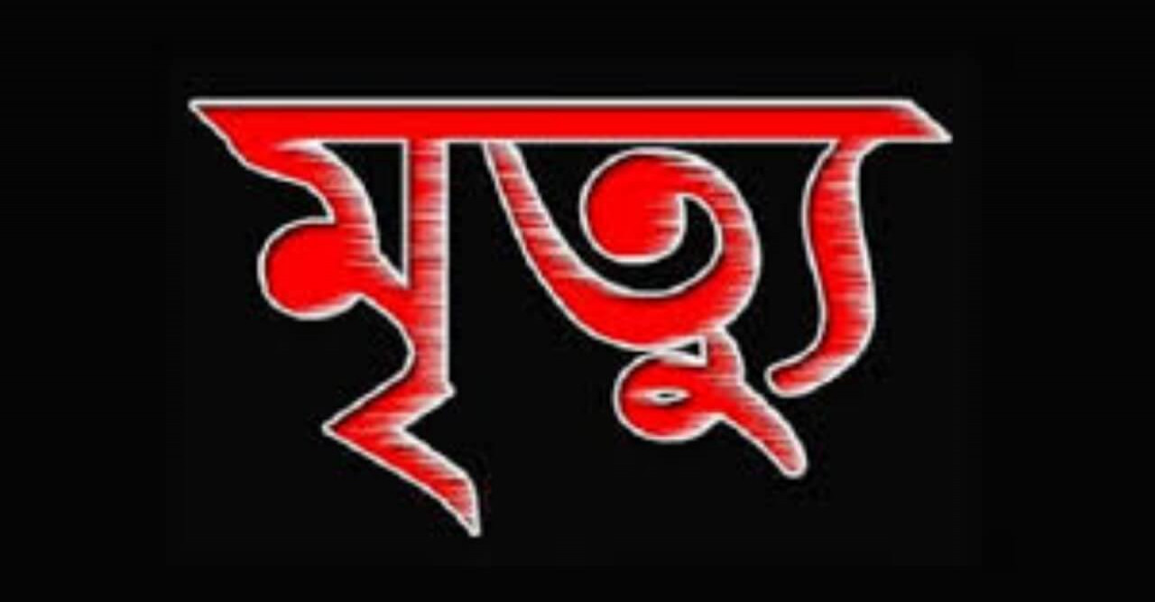 গুরুদাসপুরে ভুটভুটি উল্টে ব্যবসায়ীর মৃত্যু