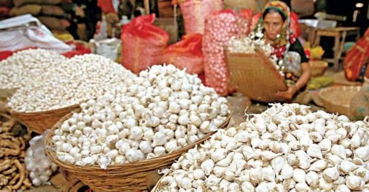 রাণীশংকৈলে এক মণ রসুনের দামে ১কেজি গরুর মাংস!