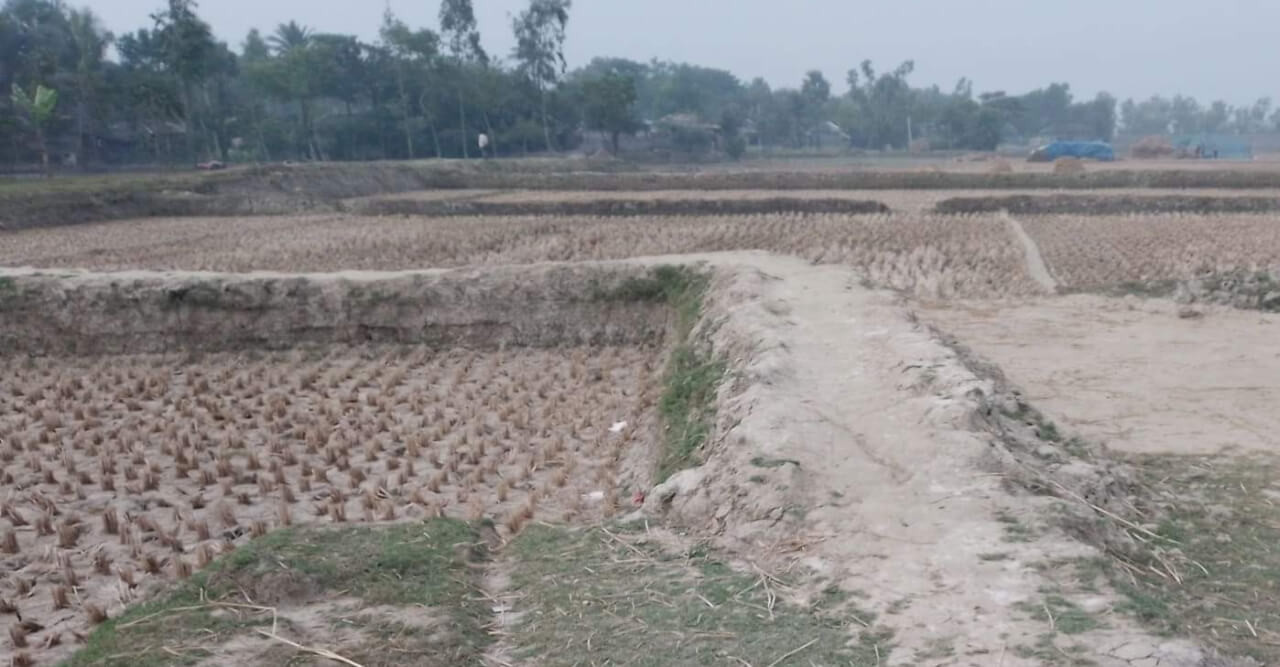 পূর্ব-পশ্চিম কৈখালী মধ্যেবর্তী রাস্তা কেটে চাষের জমির সাথে বিলীন