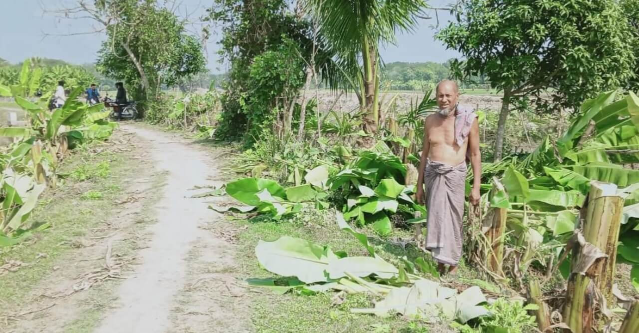 শত্রুতার জেরে লোহাগড়ায় কৃষকের পাঁচ শতাধিক গাছ কর্তন!