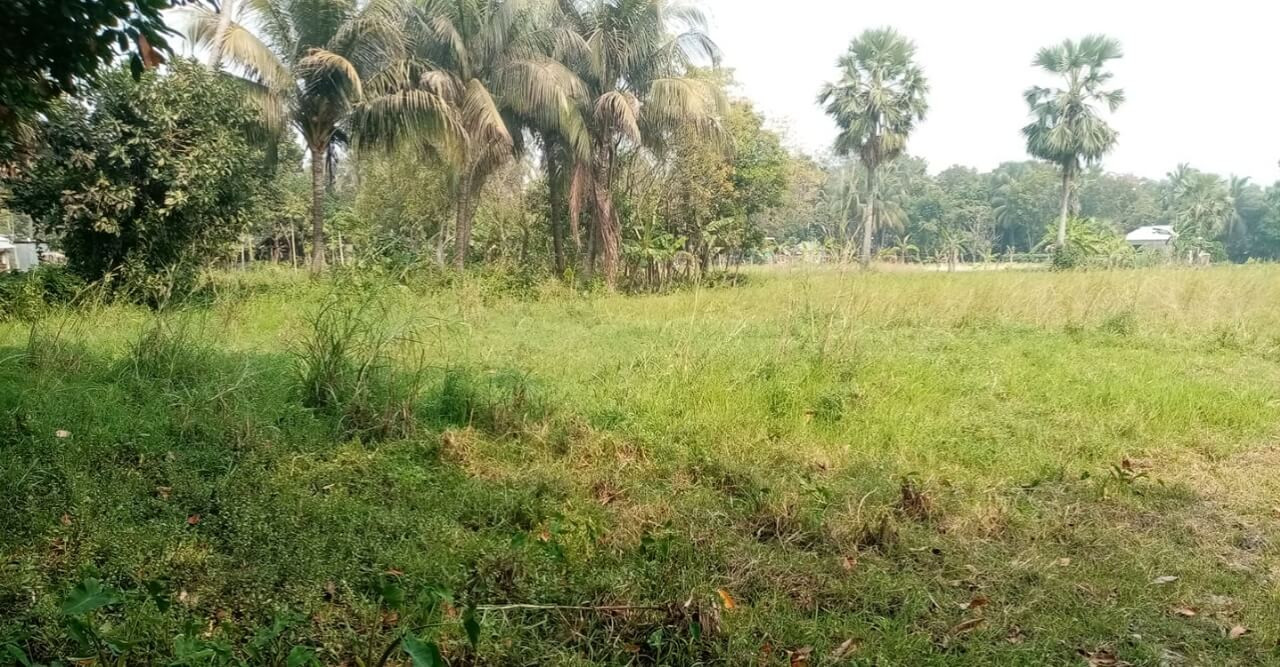 জমি দখল করতে আসার ভয়ে আতংকে দিন কাটছে ৪০টি পরিবারের