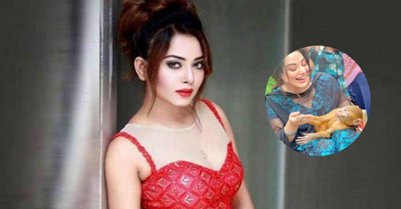বানরের কামড়ে আহত হয়ে হাসপাতালে তমা মির্জা