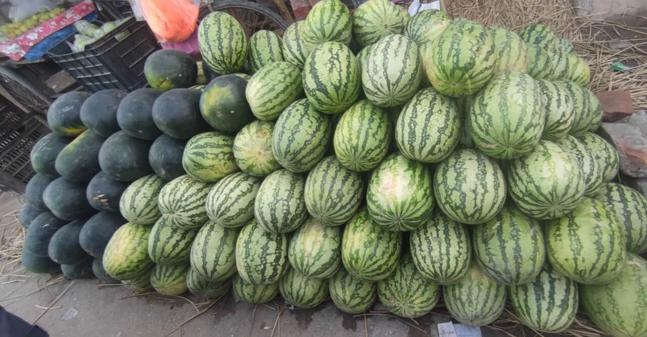 ঠাকুরগাঁওয়ে আগাম তরমুজের  দাম ক্রেতার সাধ্যের বাইরে
