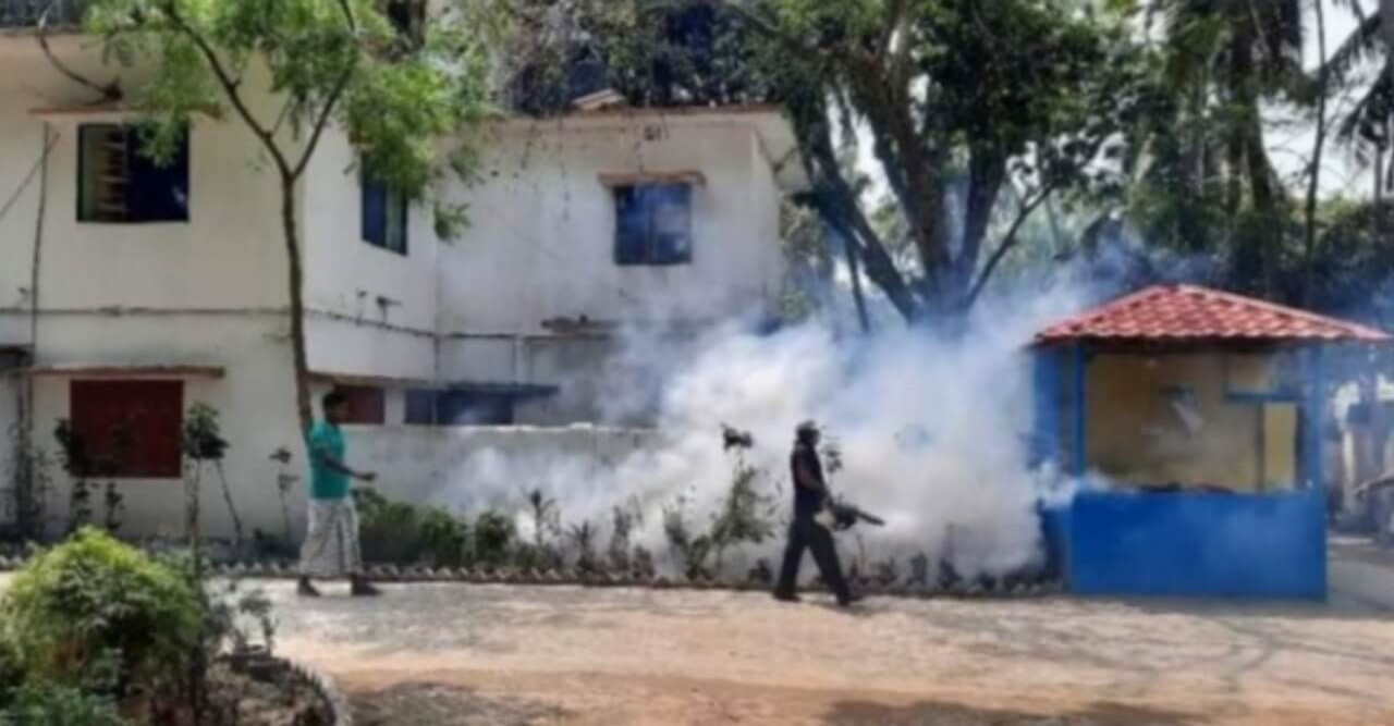 দুর্গাপুর পৌর এলাকায় মশক নিধন অভিযান শুরু হয়েছে