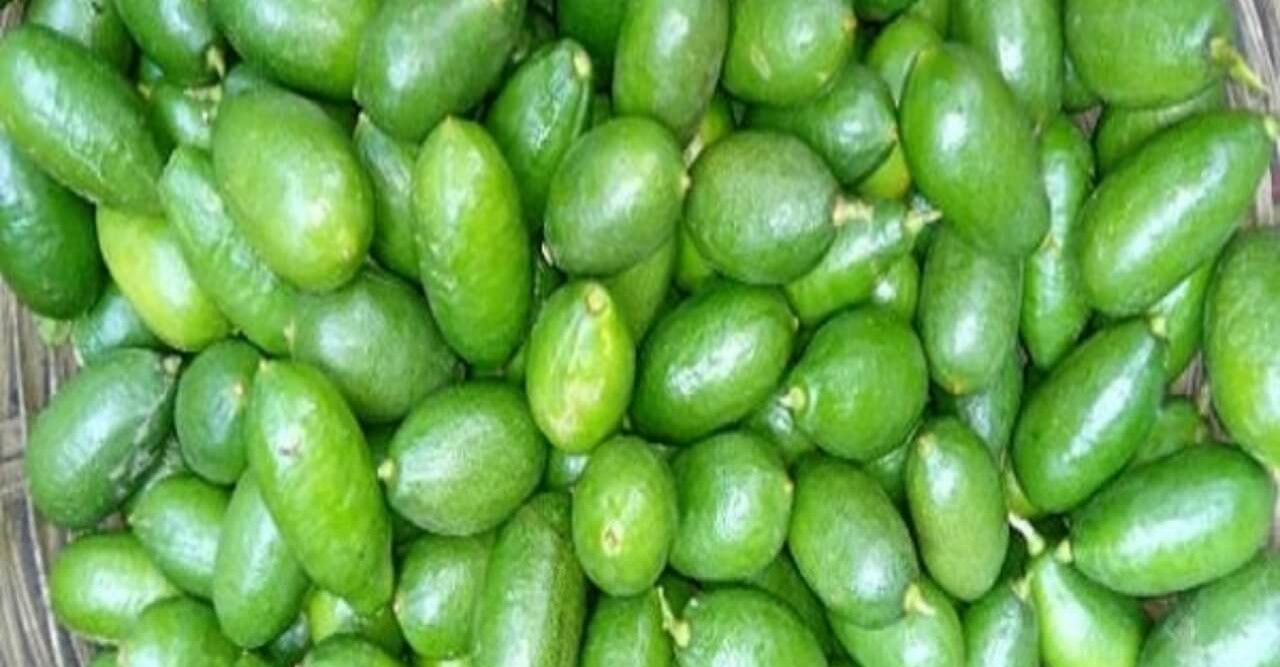 ঠাকুরগাঁওয়ে দুই কেজি আলুর দামে এক হালি লেবু