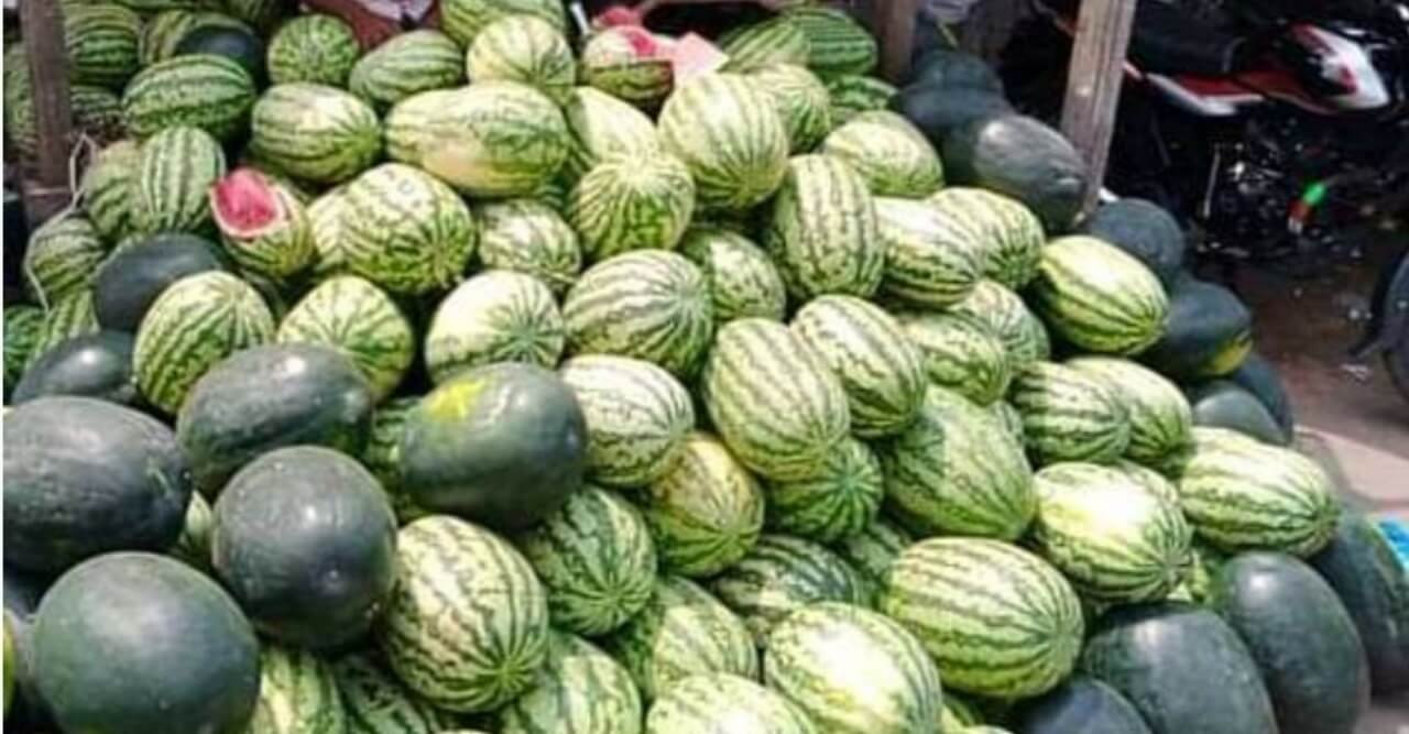 জীবন নগরে কেজি দরে বিক্রি হচ্ছে তরমুজ, নাজেহাল ক্রেতারা