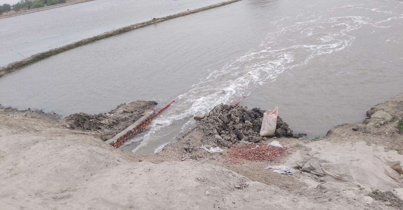 বেড়িবাঁধ ছিদ্র করেই উঠানো হচ্ছে নোনা পানি, দূর্ভোগে হাজার হাজার পরিবার