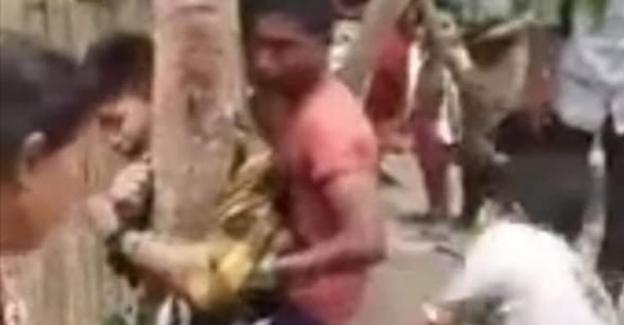 লোহাগড়ায় ছাগল চুরির অভিযোগে দুই শিশুকে নির্যাতন