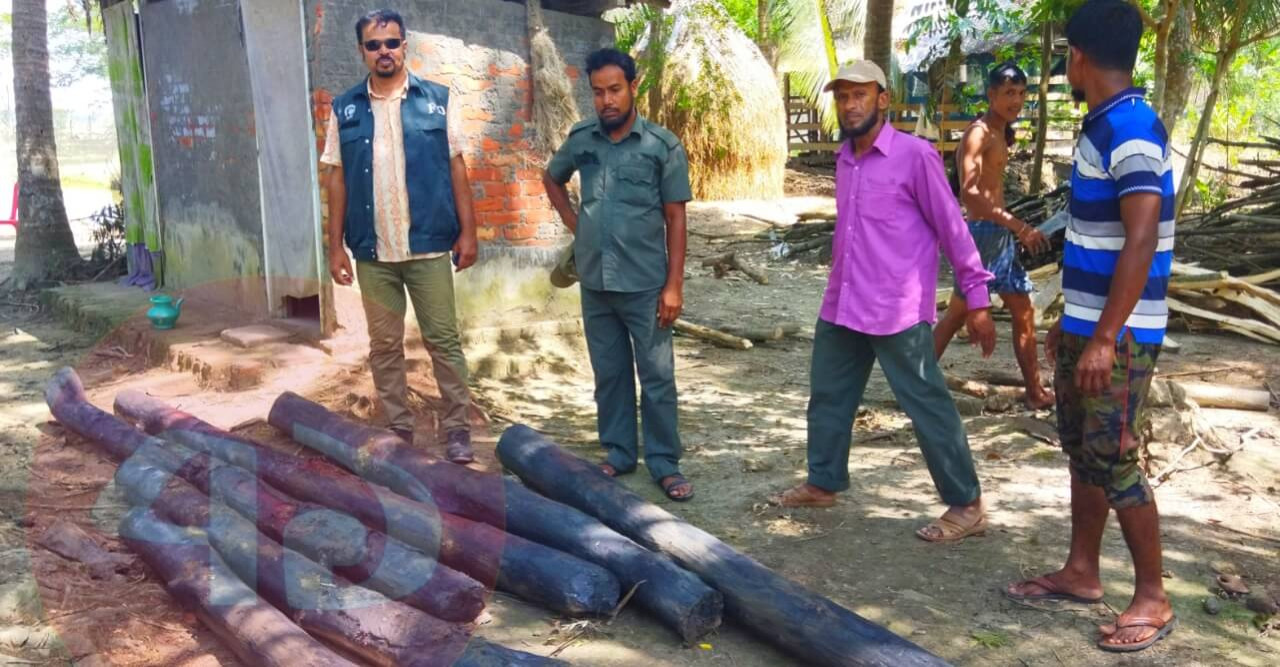 বাগেরহাটে পুকুর থেকে  ৭পিচ সুন্দরী কাঠ উদ্ধার