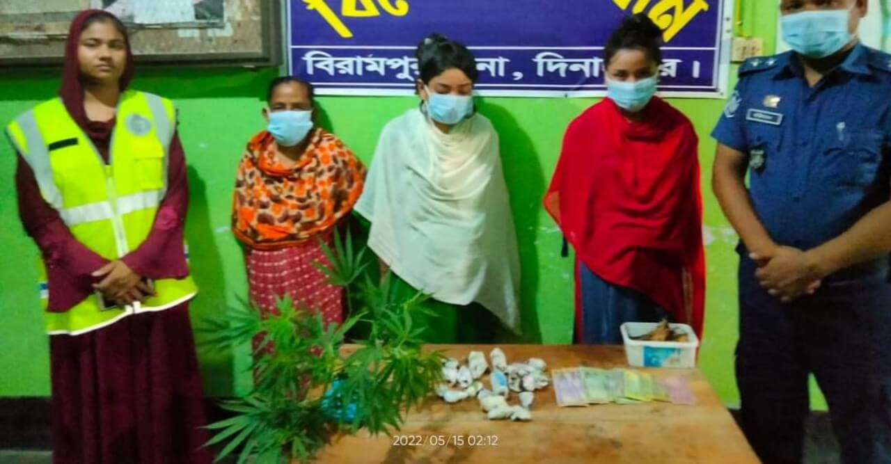 বিরামপুরে গাঁজা গাছ সহ মা ও মেয়ে আটক