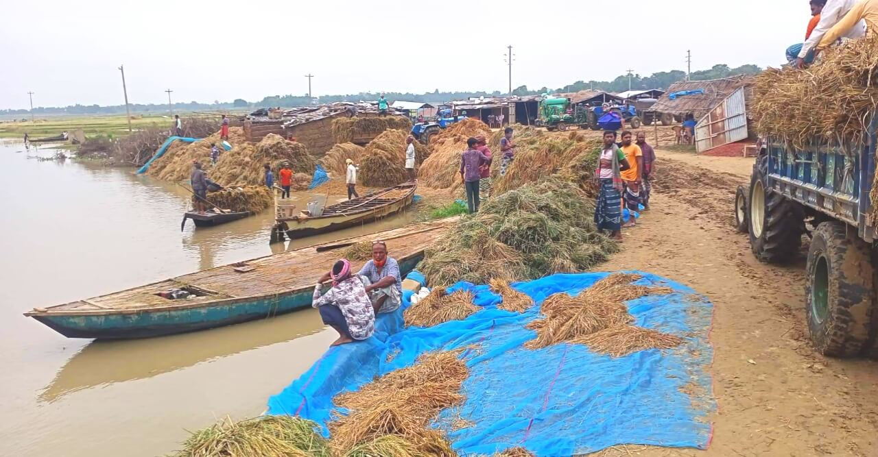 ভারত থেকে আসা ঢলে ৩ হাজার বিঘা জমির ধান পানির নিচে