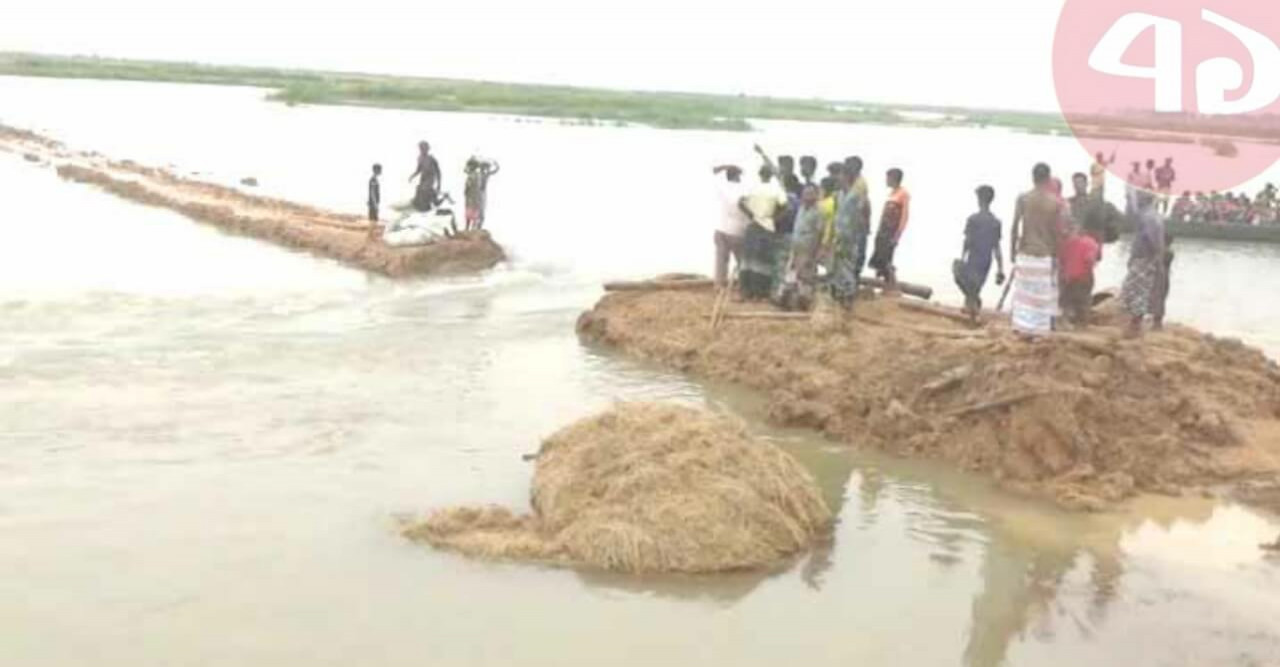 বাঁধ ভেঙে বিলে পানি, ধান তুলতে পারছেনা কৃষকরা