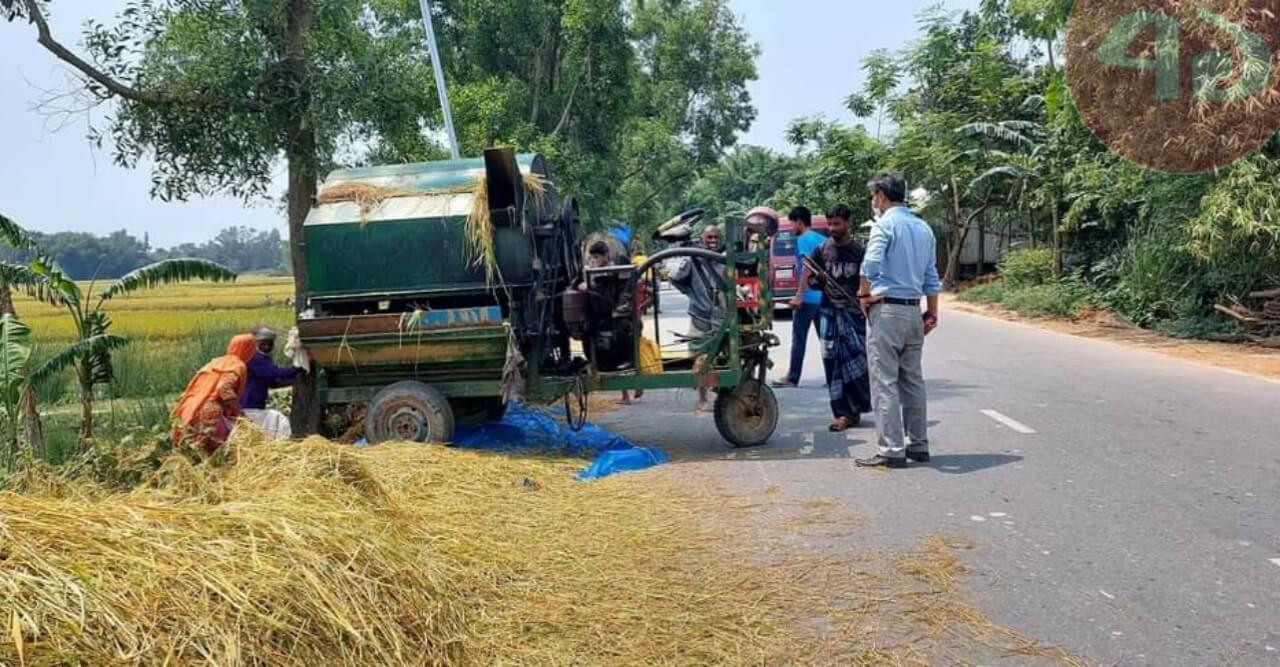 সড়কের দু'পাশই দখল করে ধান মাড়াই, ঝুঁকি নিয়ে চলছে যানবাহন