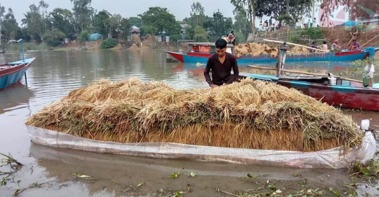 চলনবিলে বিপদগ্রস্ত কৃষকের ভরসা পলিথিনের নৌকা