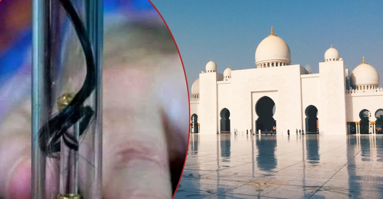 নবীজি (সা.)-এর চুল যেমন ছিল