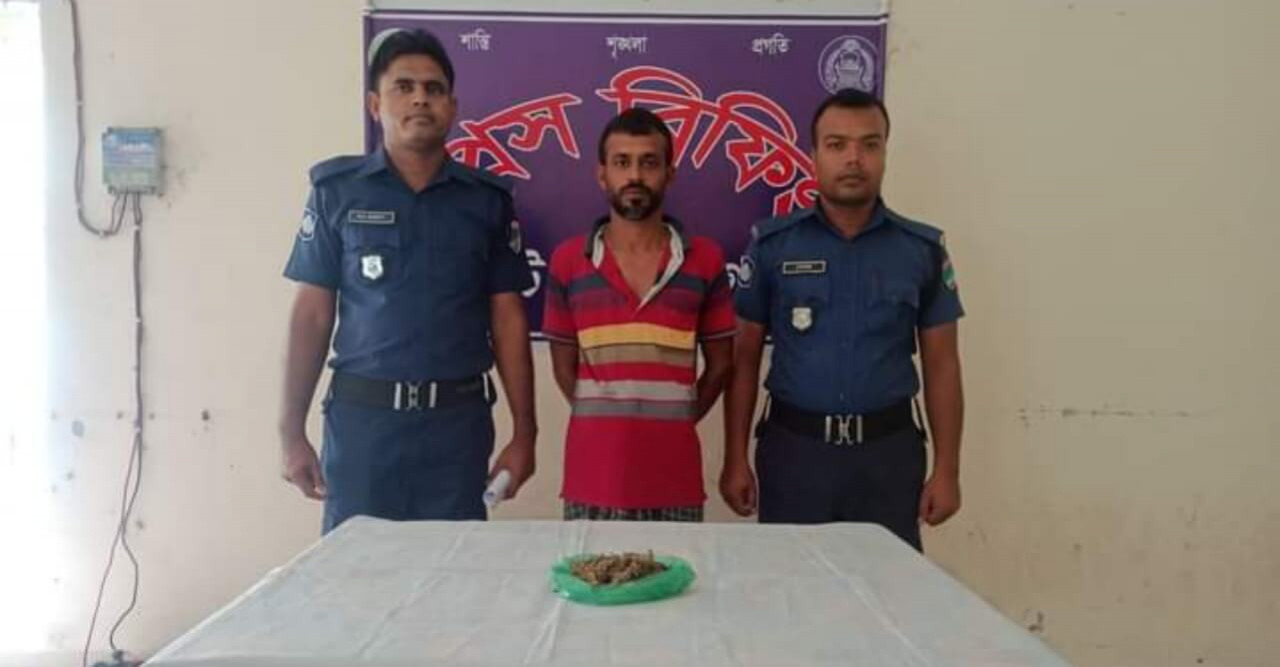পুলিশের পৃথক পৃথক অভিযানে মাদক আসামী গ্রেফতার