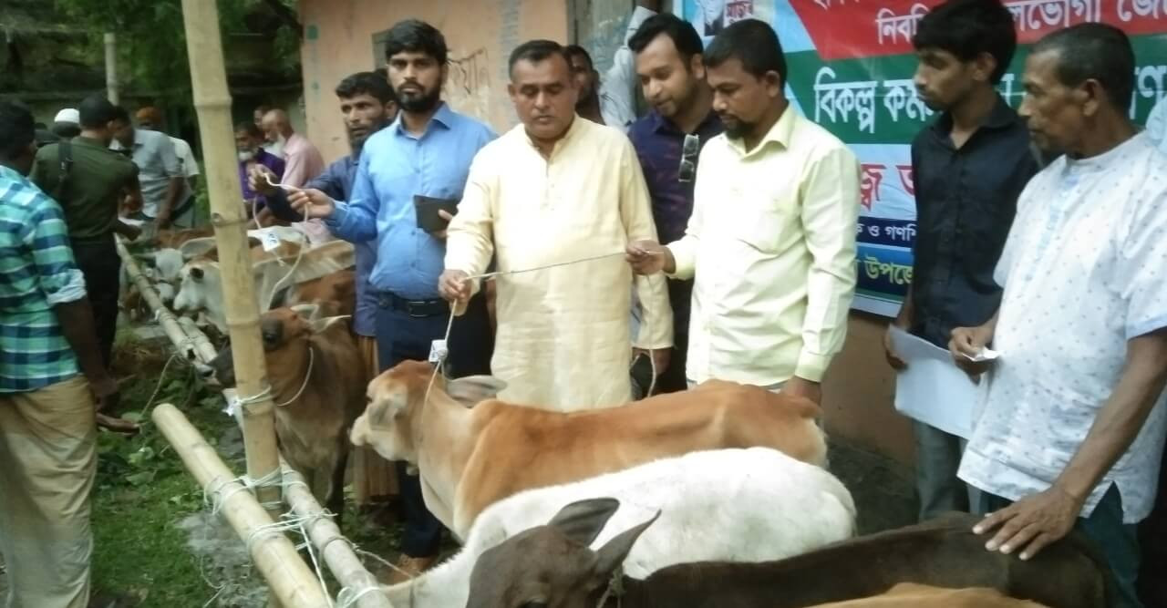 দৌলতখানে প্রান্তিক জেলেদের মাঝে বকনা বাছুর বিতরণ