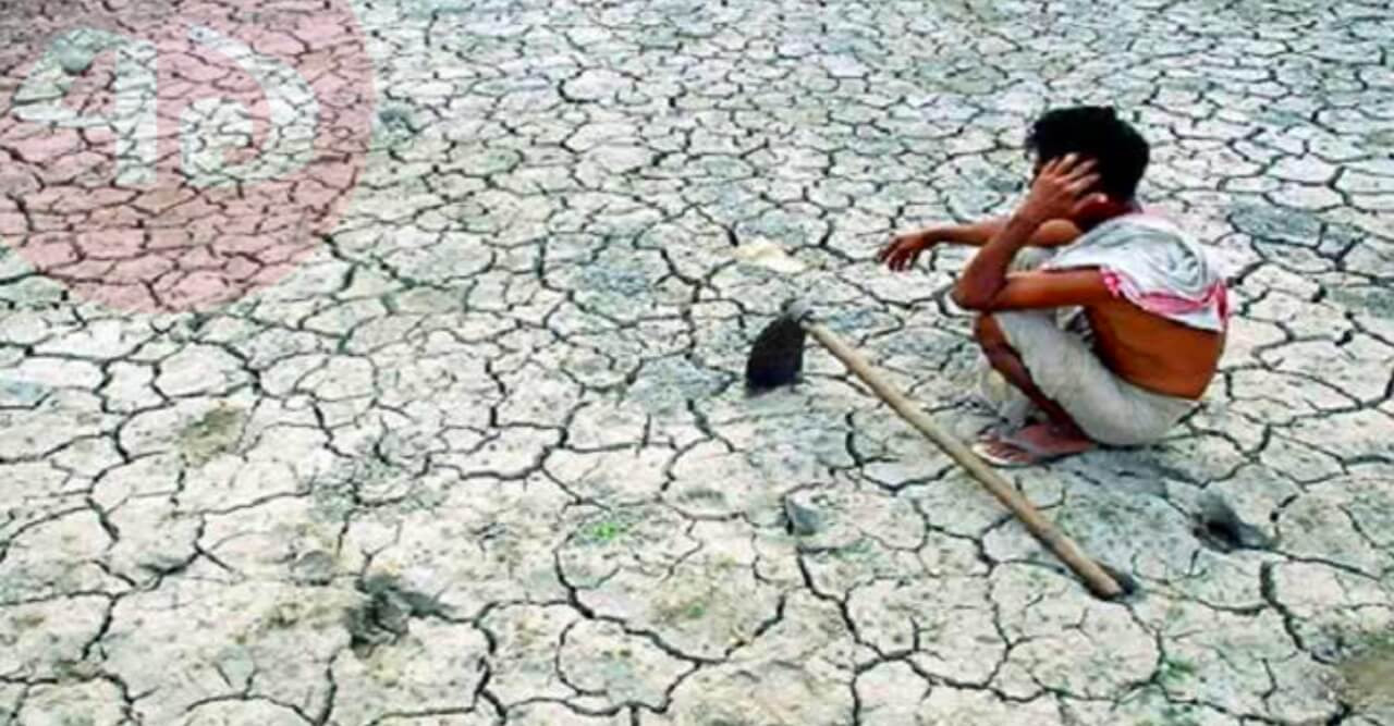 ১৭ জুন বিশ্ব খরা ও মরুকরণ প্রতিরোধ দিবস