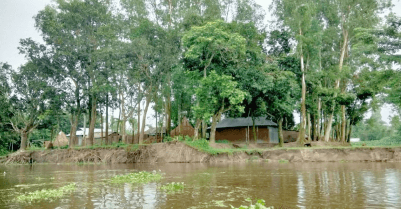 তিস্তা নদী ভাঙনে পানিবন্ধি পাঁচ হাজার মানুষ