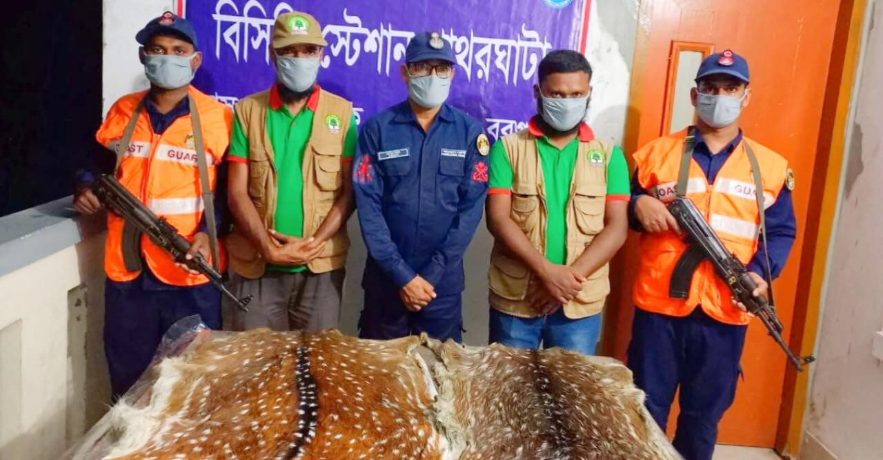 হরিনঘাটা বন থেকে হরিণের ২ চামড়া উদ্ধার