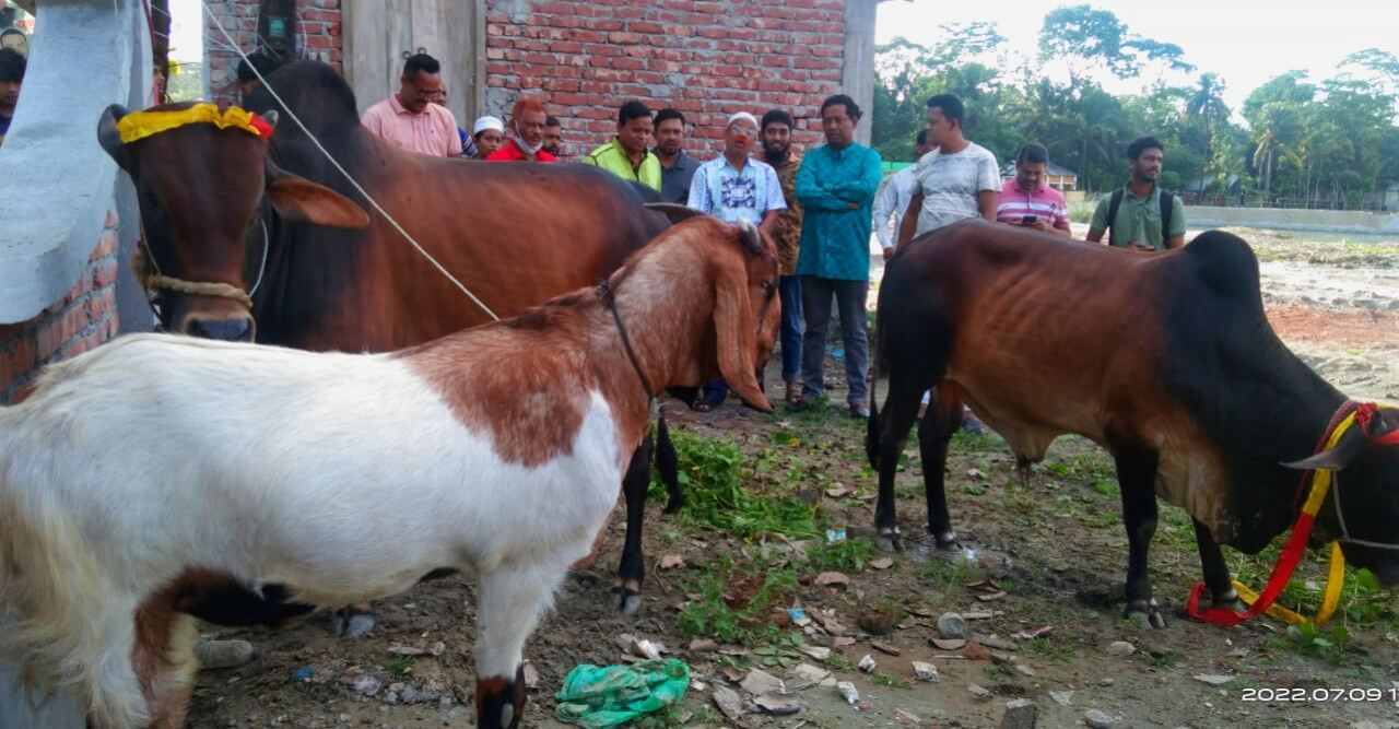 বঙ্গবন্ধু ও প্রধানমন্ত্রীর নামে কোরবানী দিবেন আওয়ামী লীগ নেতা