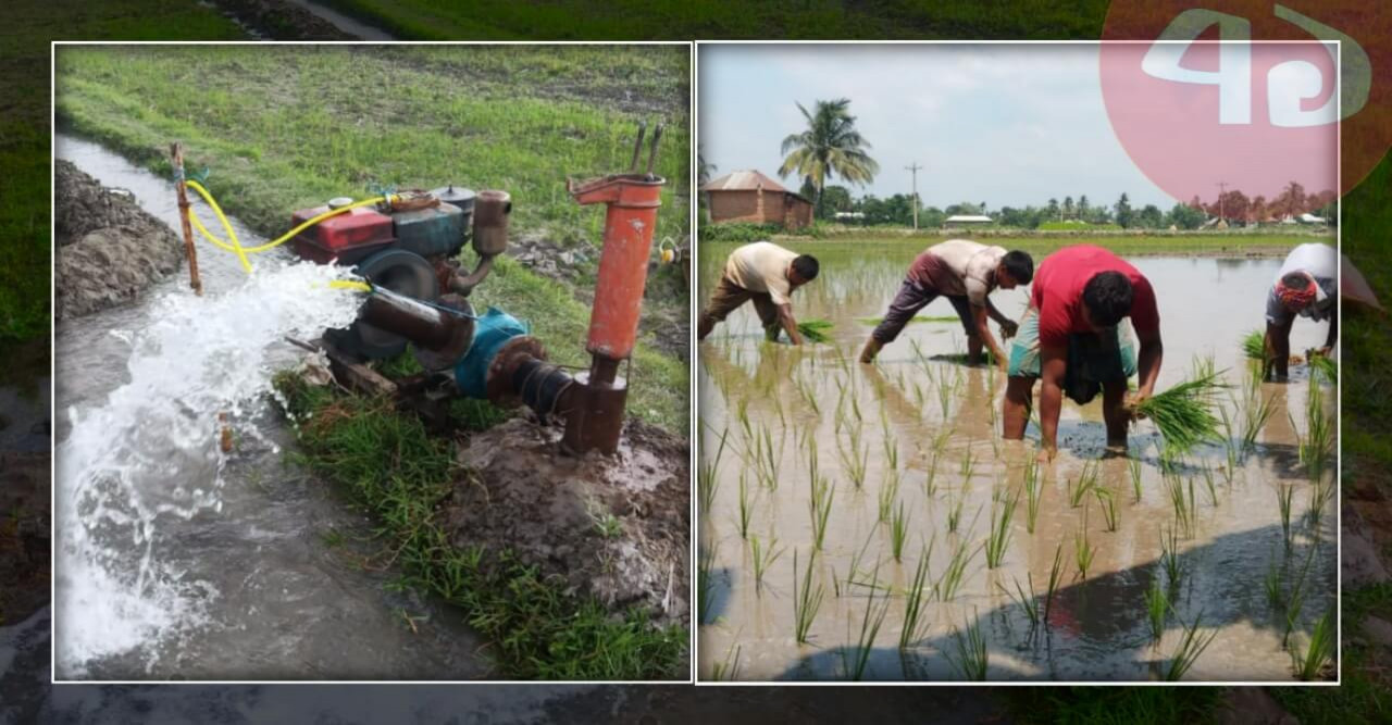 বৃষ্টি নেই, খানসামায় সেচ দিয়ে চলছে কৃষিকাজ