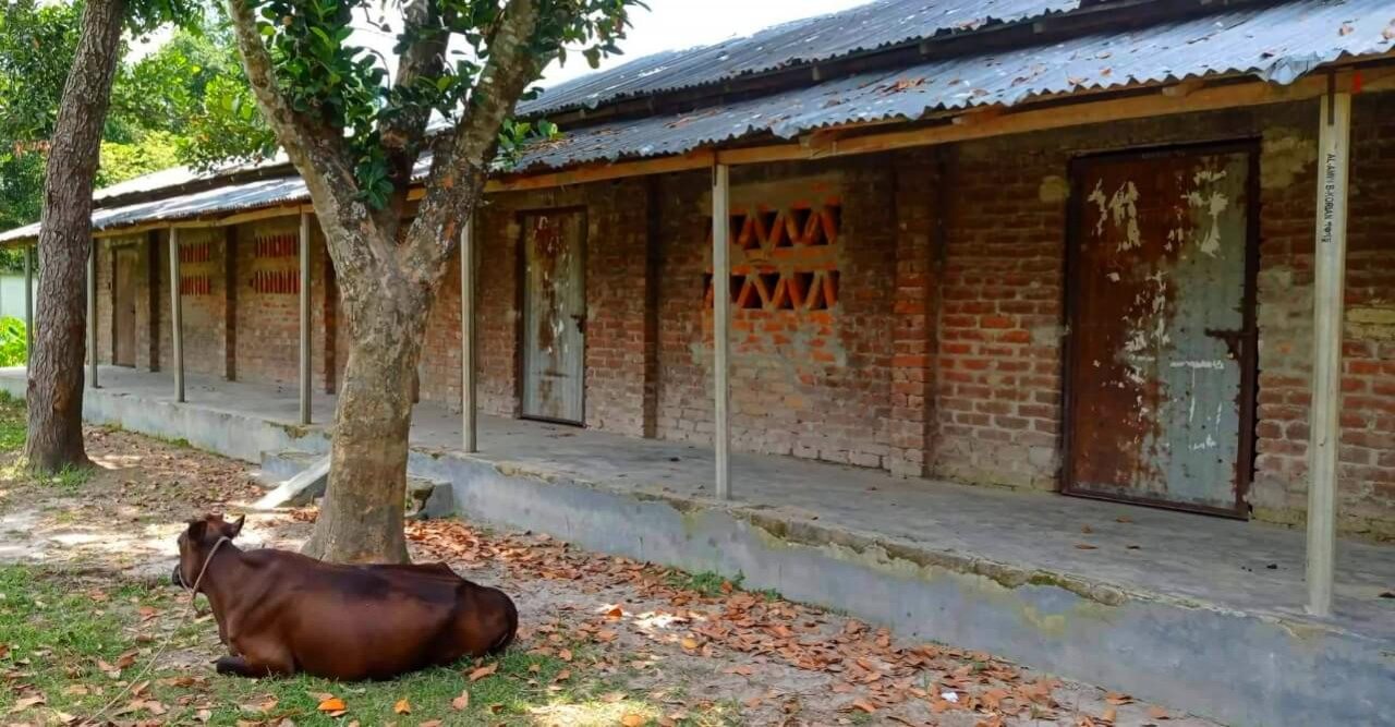 শিক্ষার্থী না থাকলেও রাণীশংকৈলে এমপিওভুক্তি কয়েকটি স্কুল