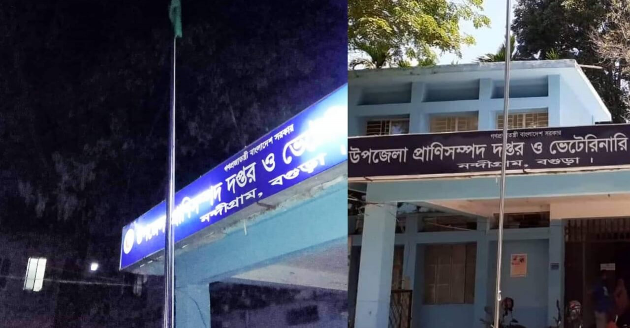 প্রাণিসম্পদ হাসপাতালে রাতেও ওড়ে জাতীয় পতাকা