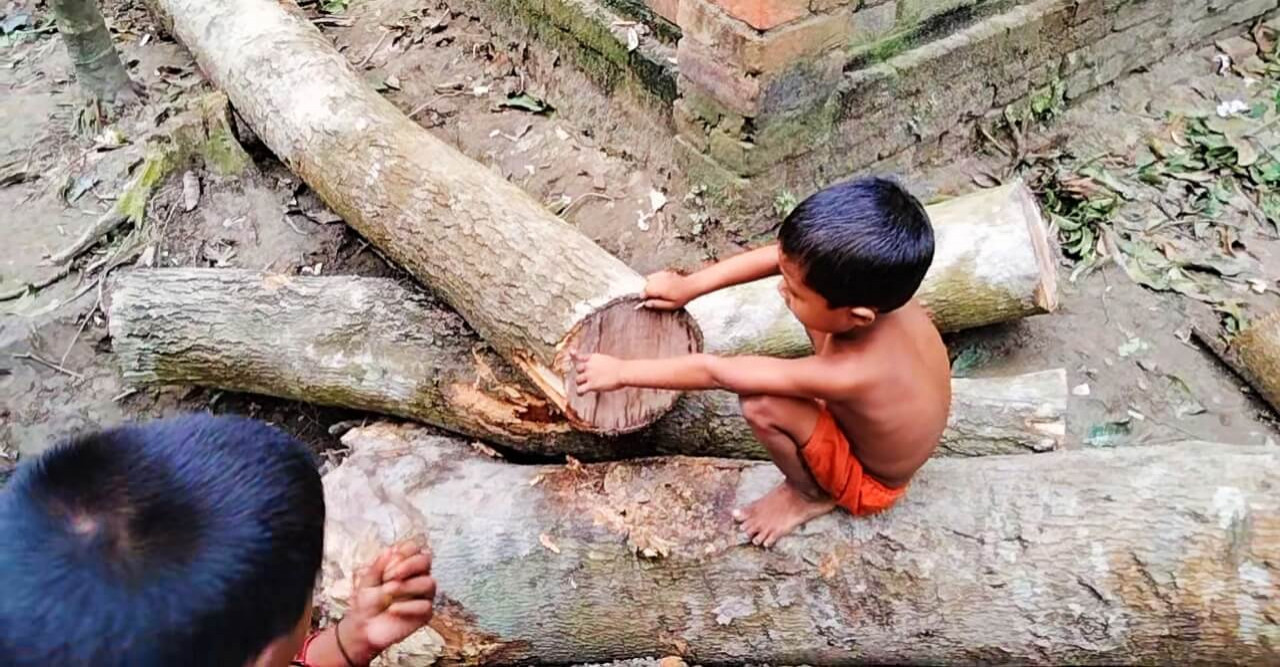 রেকর্ডভুক্ত রাস্তার গাছ কেটে ঘর নির্মাণের চেষ্টা