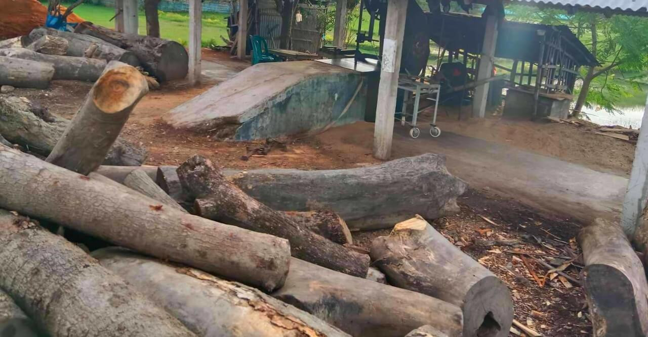 পাইকগাছায় লাইসেন্স বিহীন অবৈধ করাত কলের রমরমা ব্যাবসা