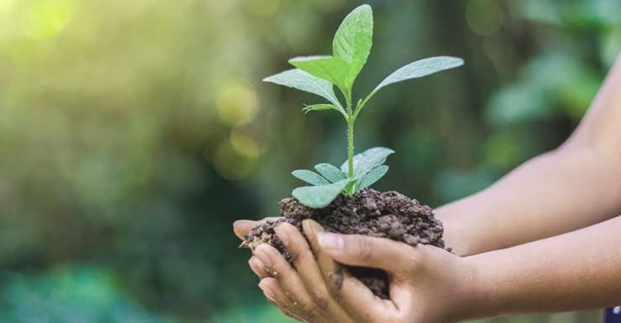 ২৮ জুলাই বিশ্ব প্রকৃতি সংরক্ষণ দিবস