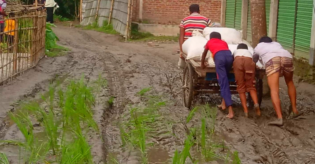 চলাচলের অযোগ্য সড়কে ধানের চারা রোপণ