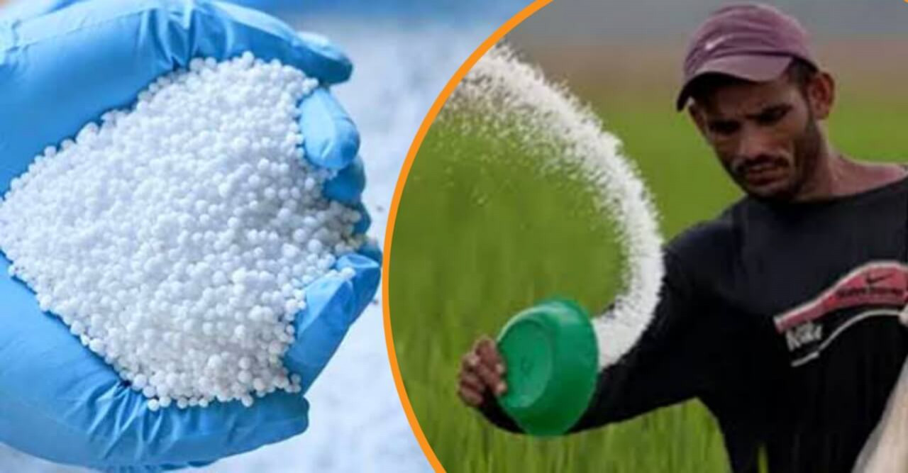 ইউরিয়া সারের মূল্য বৃদ্ধিতে দেশে অস্থিরতা সৃষ্টি করবে