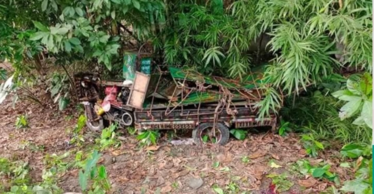 নসিমন ও কভার ভ্যান সংঘর্ষে চালক নিহত