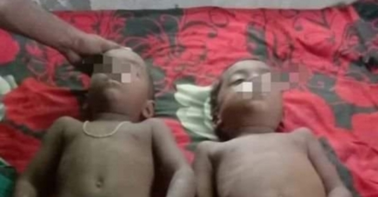 ছোট ভাই কে বাচাতে গিয়ে বড় ভাইয়ের ও মৃত্যু