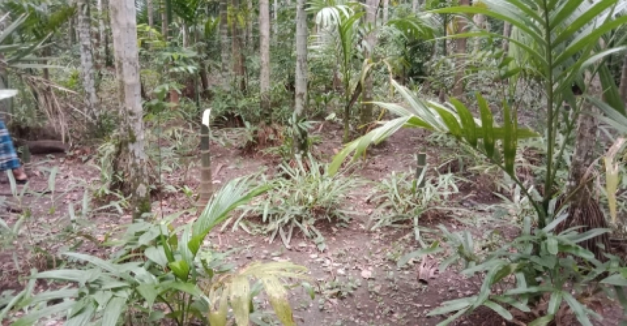 স্কুল শিক্ষকের জমি জবরদখলের অভিযোগ