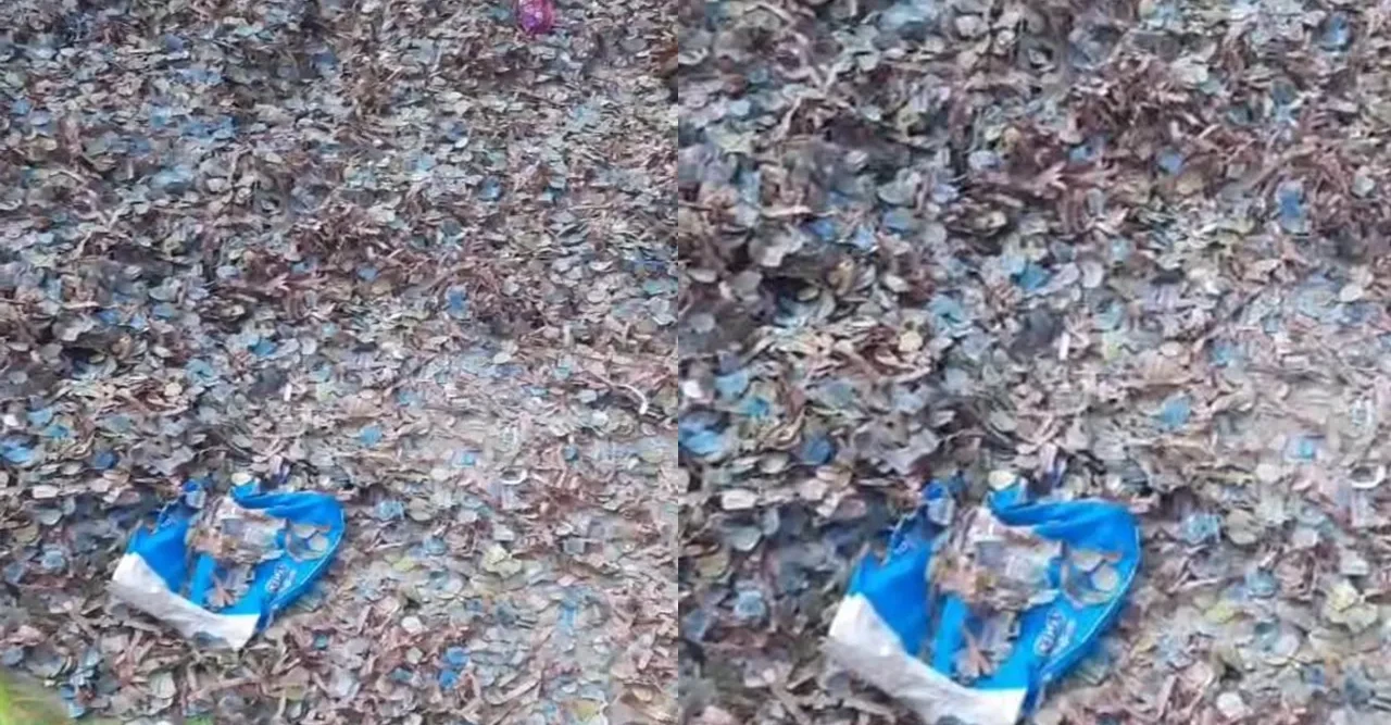 বরিশালের রাস্তায় উড়ছে টাকা, যুবকদের মধ্যে হুলস্থুল কাণ্ড