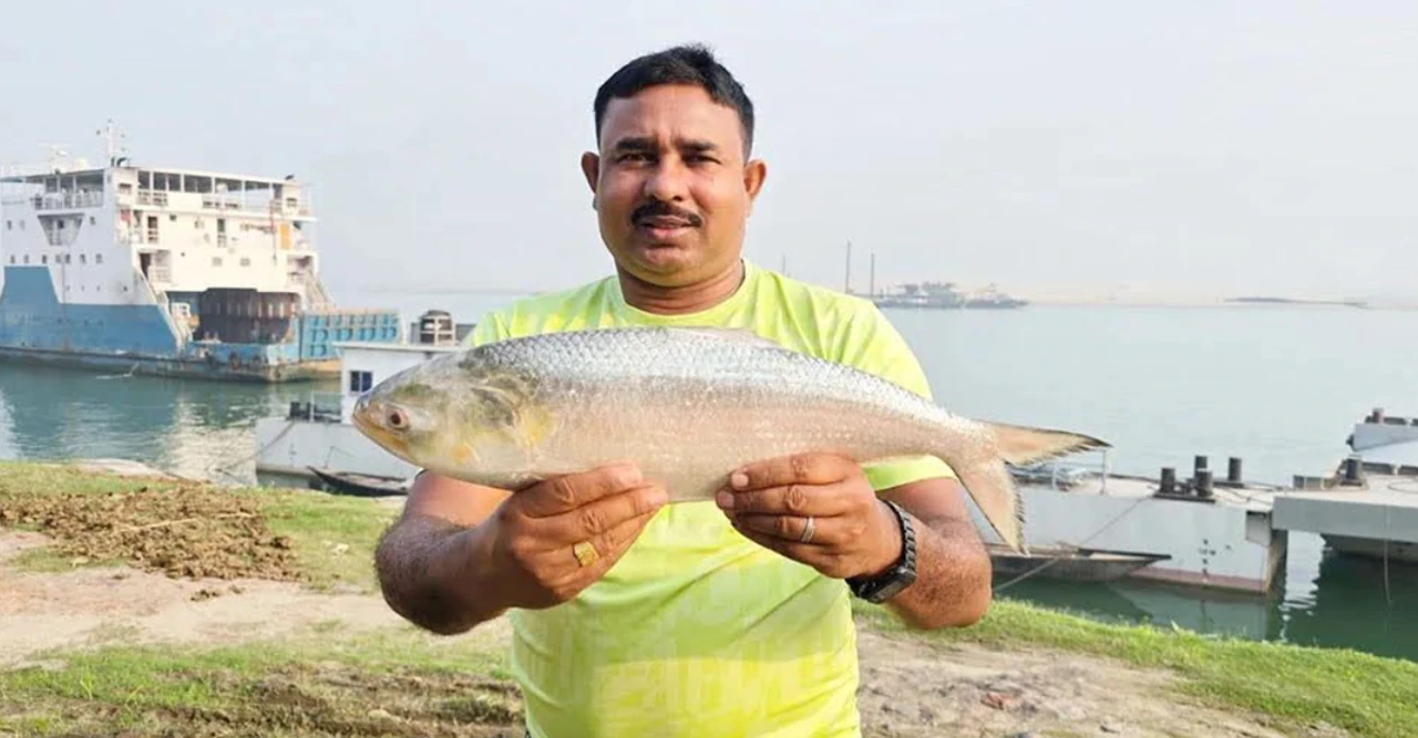পদ্মার এক ইলিশ সাড়ে ৮ হাজারে বিক্রি