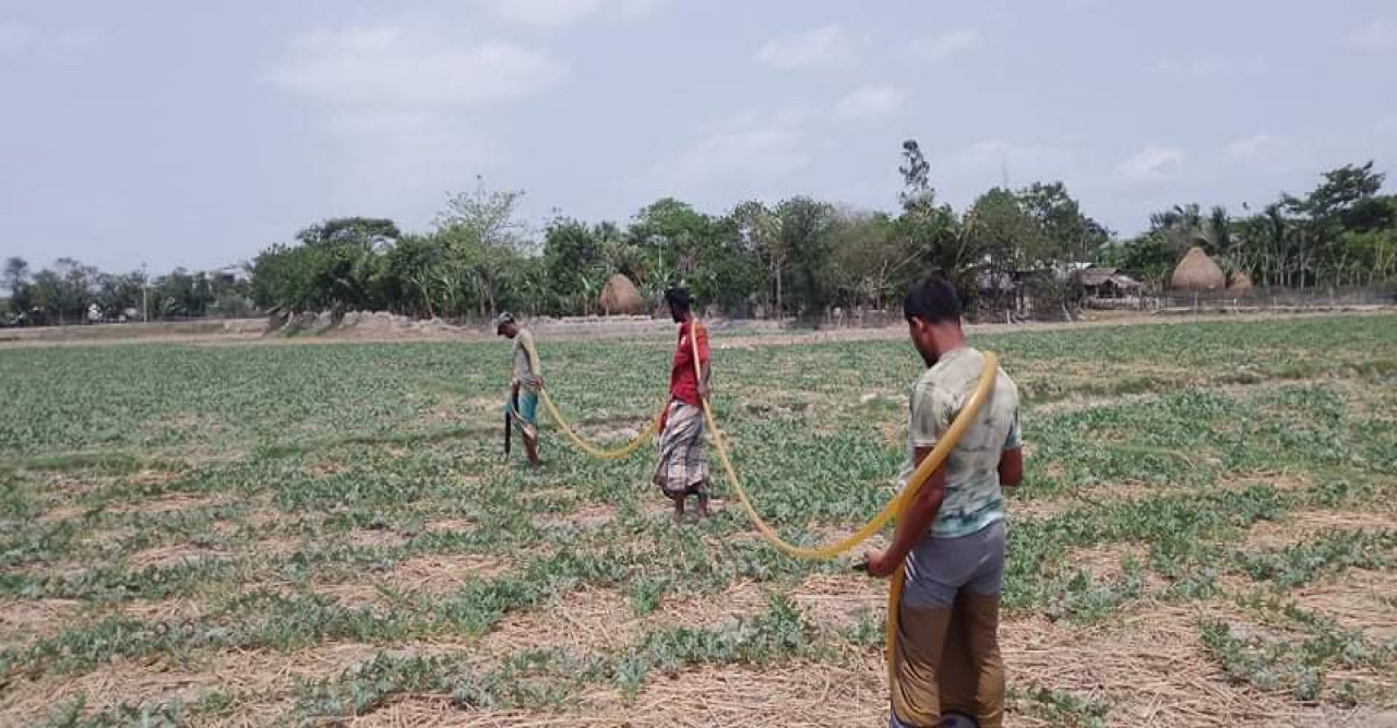 বটিয়াঘাটায় তরমুজ চাষিদের কাছে খালের পানি বিক্রির অভিযোগ