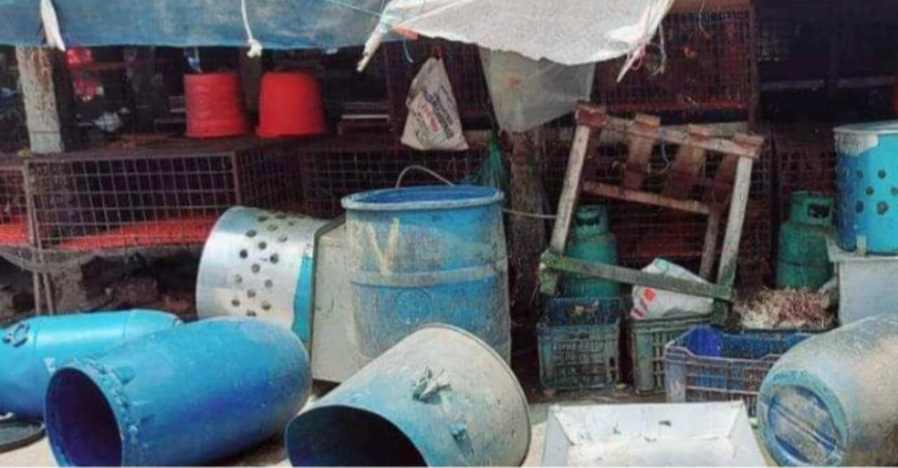 পাথরঘাটা মুরগি বিক্রি বন্ধ