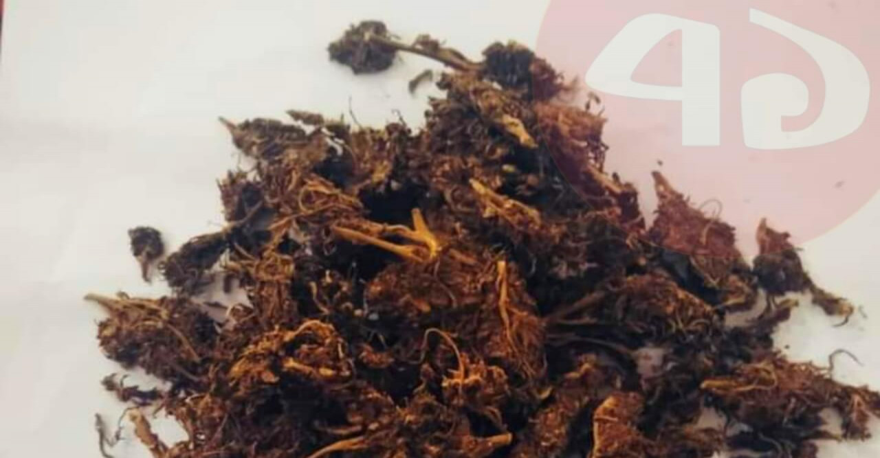 ভোলায় ৫০ গ্রাম গাঁজা সহ আটক ০১