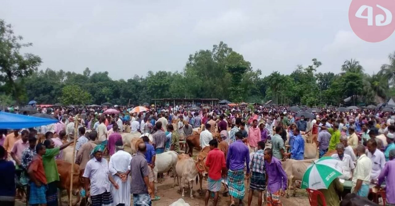 রাণীশংকৈলে নেকমরদ পশুর হাটে অতিরিক্ত খাজনা আদায়