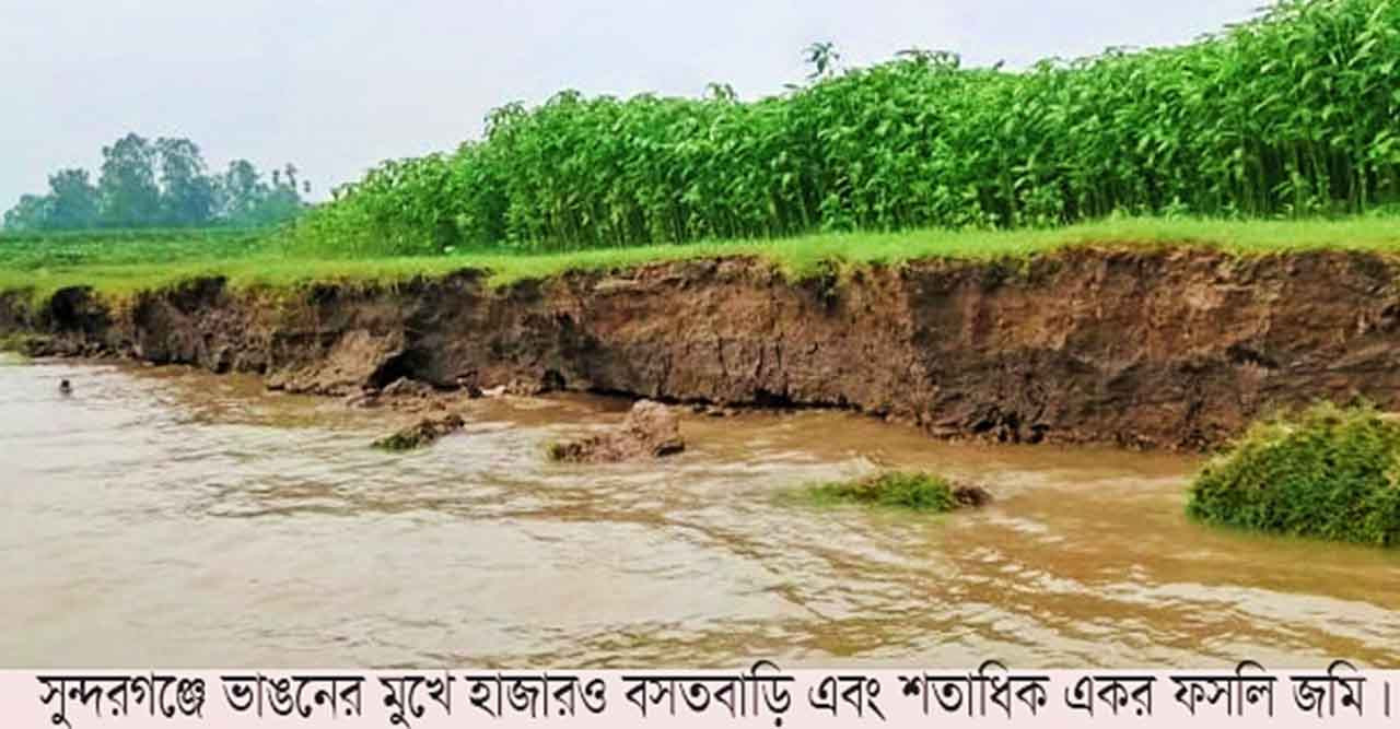 সুন্দরগঞ্জে বাড়ছে পানি ভাঙছে নদী, বিলিন ফসলি জমি