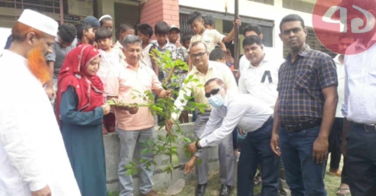 লজিইডি’র উদ্যােগে মাস ব্যাপী বৃক্ষ রোপন কর্মসূচি