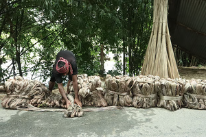 পাটের আঁশ রোদে শুকানো হবে