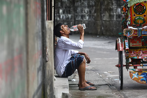 ধুন্দুল ফুলে কালো ভ্রমরের গুনগুন
